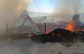 Karacasu’da çıkan yangında iki ev küle döndü