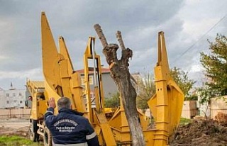 Kuşadası Belediyesi’nden ’yeşil’ hassasiyet
