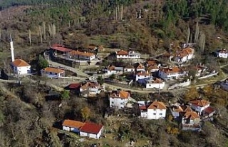 Kuyucak’taki evler tek renge büründü