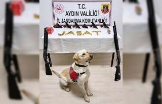 Söke’de kaçak silah operasyonu