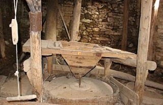 Tarihi Dandalaz su değirmenleri kurtarılmayı bekliyor