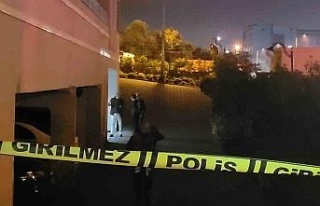 Aydın’da dehşet: Bir kadını öldürdü, bir...