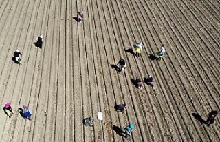 Çiftçilerin destek ödemeleri başladı