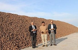 Koçarlı Türkiye’nin künar deposu haline geldi