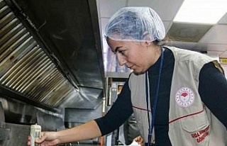 Söke’de eş zamanlı denetim