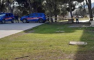 Araç içerisinde ölü olarak bulundu