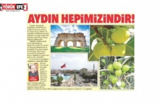 Aydın Hepimizindir!