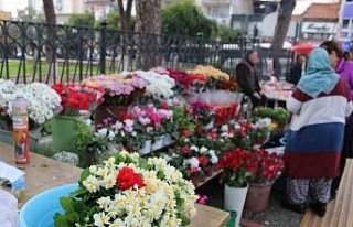 Bu yılın favorisi yine gül oldu