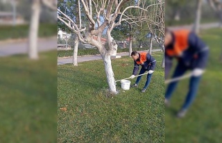 Buharkent Millet Bahçesi yaza hazırlanıyor