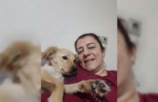 Aydın’daki köpek eğitmeni mağdurlarının sayısı...