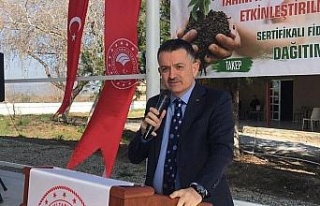 Eski Tarım ve Orman Bakanı Pakdemirli: "Evlatlarımızı...
