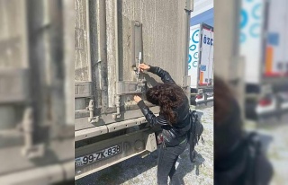 Söke’nin balıkları, İtalya yolcusu