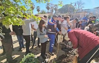 Yenipazar’da 2 bin 500 fidan dağıtıldı