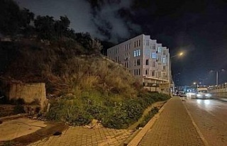 Yolda yürüyen kadına cinsel tacizde bulunan şüpheli...