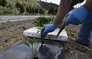 Adabahçe’de yaz sezonu hazırlıkları başladı