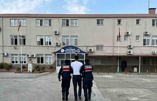 Elbise dolabından hırsız çıktı