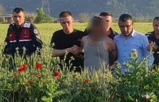 Otluk alanda gizlenen hırsızlık şüphelisi jandarmaya...