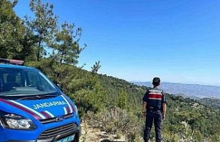 Aydın’da orman yangınlarına karşı yoğun tedbirler...