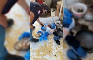 Didim’de kanuna aykırı avlananlar denetime takıldı