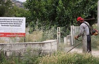 Efeler Belediyesi mezarlıklardaki çalışmalarını...
