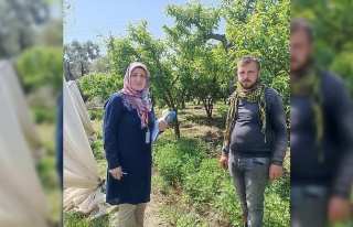 Efeler İlçe ve Tarım Orman Müdürlüğü anket...