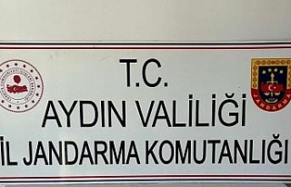 Jandarma uyuşturucuya geçit vermedi: 9 gözaltı
