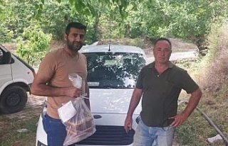 Kuyucak’ta hasat öncesi pestisit denetimleri