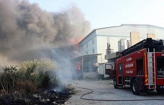 Aydın’da dumanlar gökyüzünü kapladı