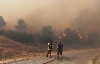 Aydın’da orman yangını