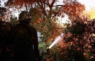 Bakan Yumaklı: "Kuşadası’ndaki orman yangını...