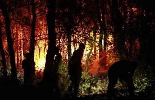 Bakanlık’tan Kuşadası açıklaması