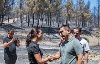 Başkan Günel yangın alanında incelemede bulundu