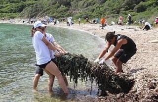 Başkan Sürücü: "Tüm çevre sorunlarının...