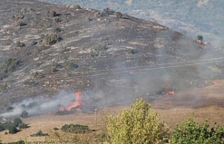 Çine’deki orman yangını kontrol altına alındı