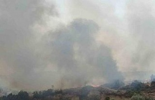 Didim’de zirai alan yangını