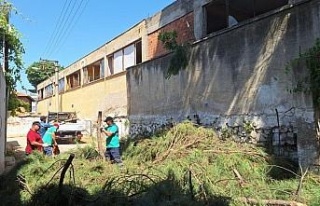 Efeler’de elektrik tellerine temas eden ağaçlar...