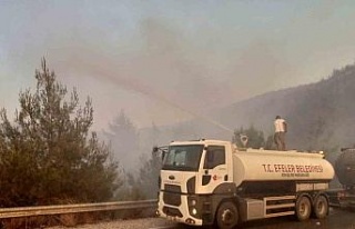 Efeler’den yangın söndürme çalışmalarına...