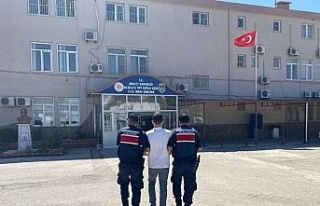 Hakkında 13 yıl hapis cezası bulunan şahıs jandarmaya...