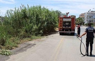 İtfaiyenin hızlı müdahalesi pamuk tarlasını...