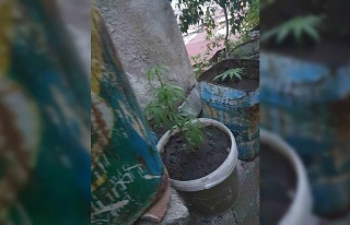 Koçarlı’da uyuşturucuya geçit yok