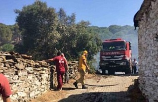 Koçarlı’daki yangın kontrol altına alındı
