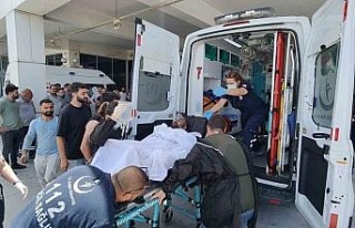 Kuşadası’nda sinek ilaçlaması yapılan havuzun...