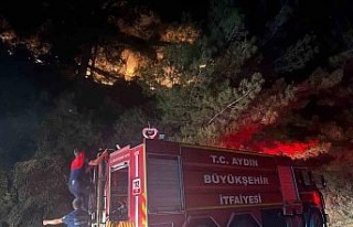 Kuyucak’ta zirai alan yangını