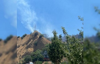 Nazilli’deki yangında 1 hektar alan zarar gördü