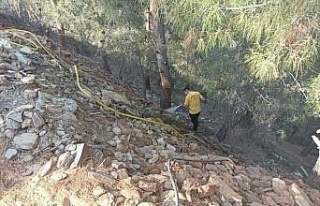 Ormanlık alandaki yangın büyümeden söndürüldü