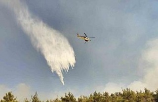 Pamucak’tan Kuşadası’na sıçrayan yangını...