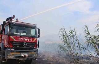 Sazlık alanda çıkan yangın korkuttu