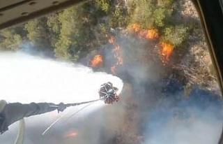 Selçuk’taki yangın Kuşadası’na sıçradı