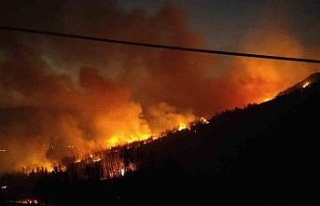 Selçuk’taki yangında felaket büyüyor