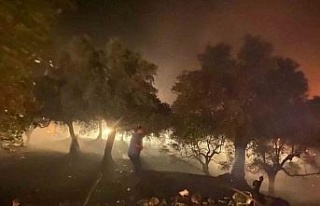 Sultanhisar’daki yangın büyük ölçüde kontrol...